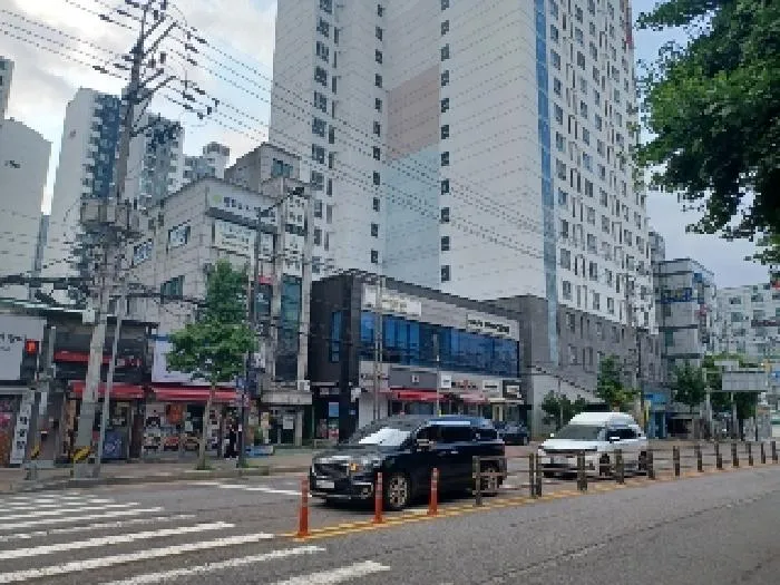 사진 2