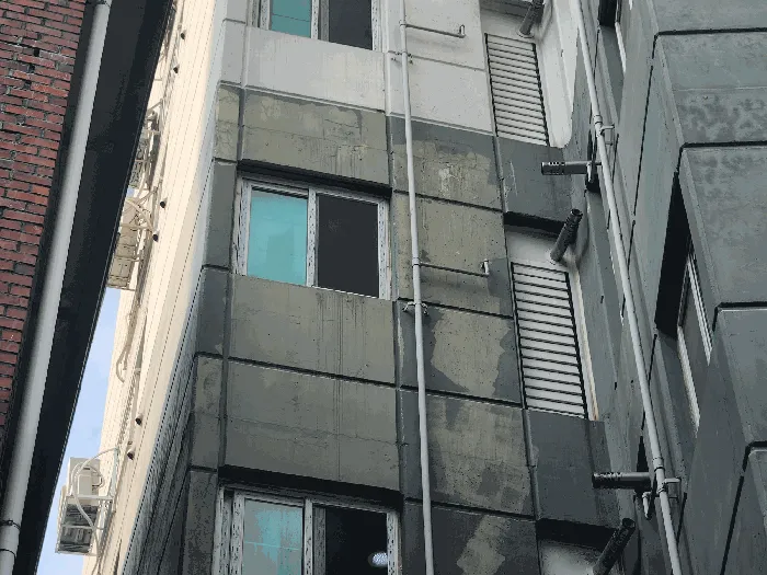 사진 6