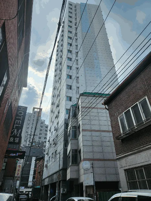 사진 9