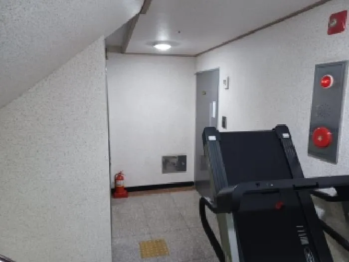 사진 5
