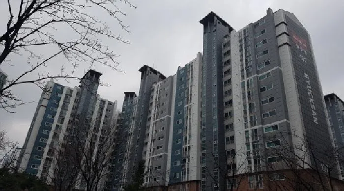 사진 2