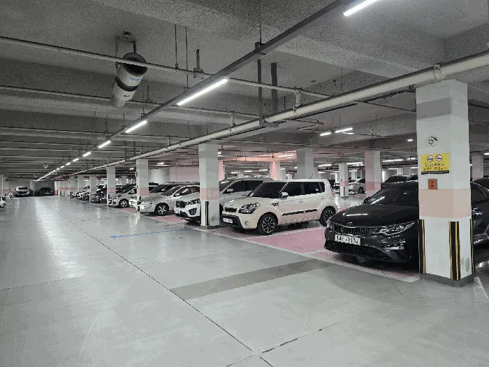 사진 5