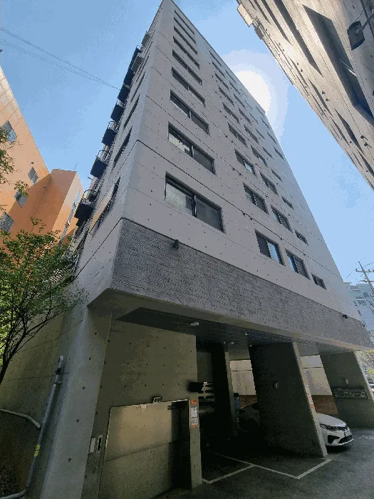 사진 11