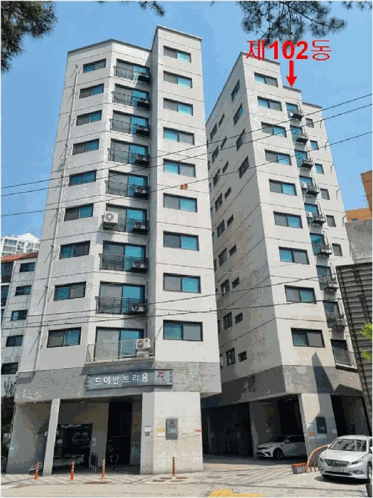 사진 9