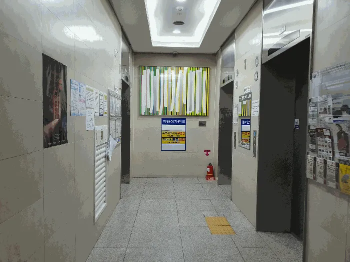 사진 8