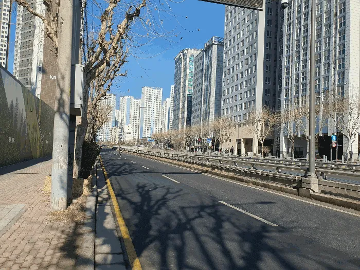 사진 9
