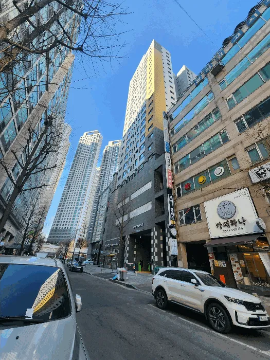 사진 5