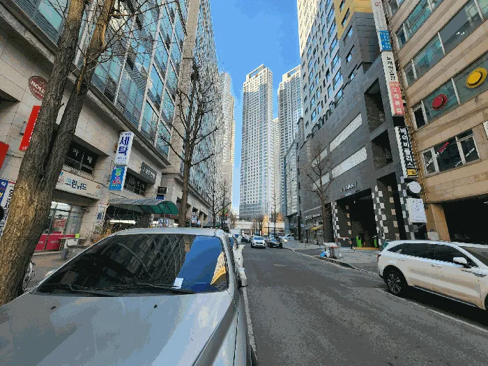 사진 6